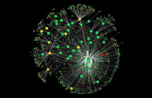 Complex Network Analysis Service